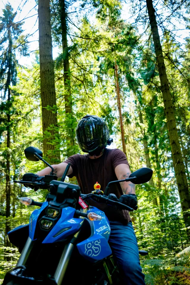 dsc8916.webp
