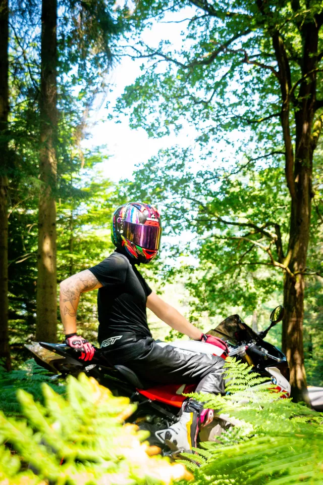 dsc8854.webp