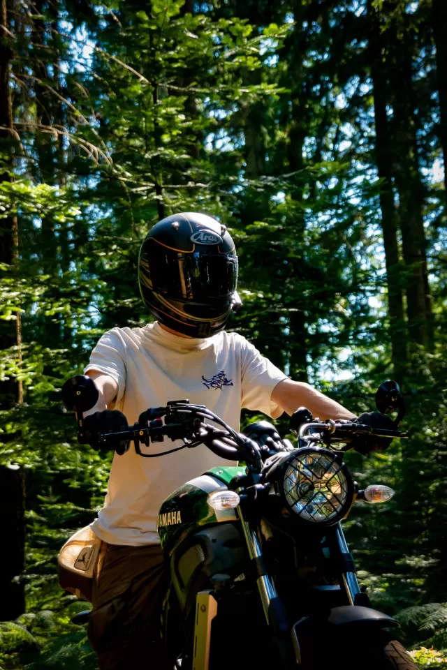dsc9123.webp