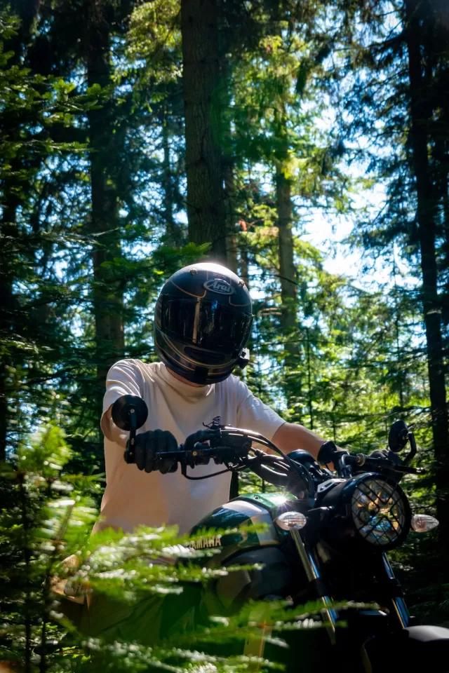 dsc9127.webp