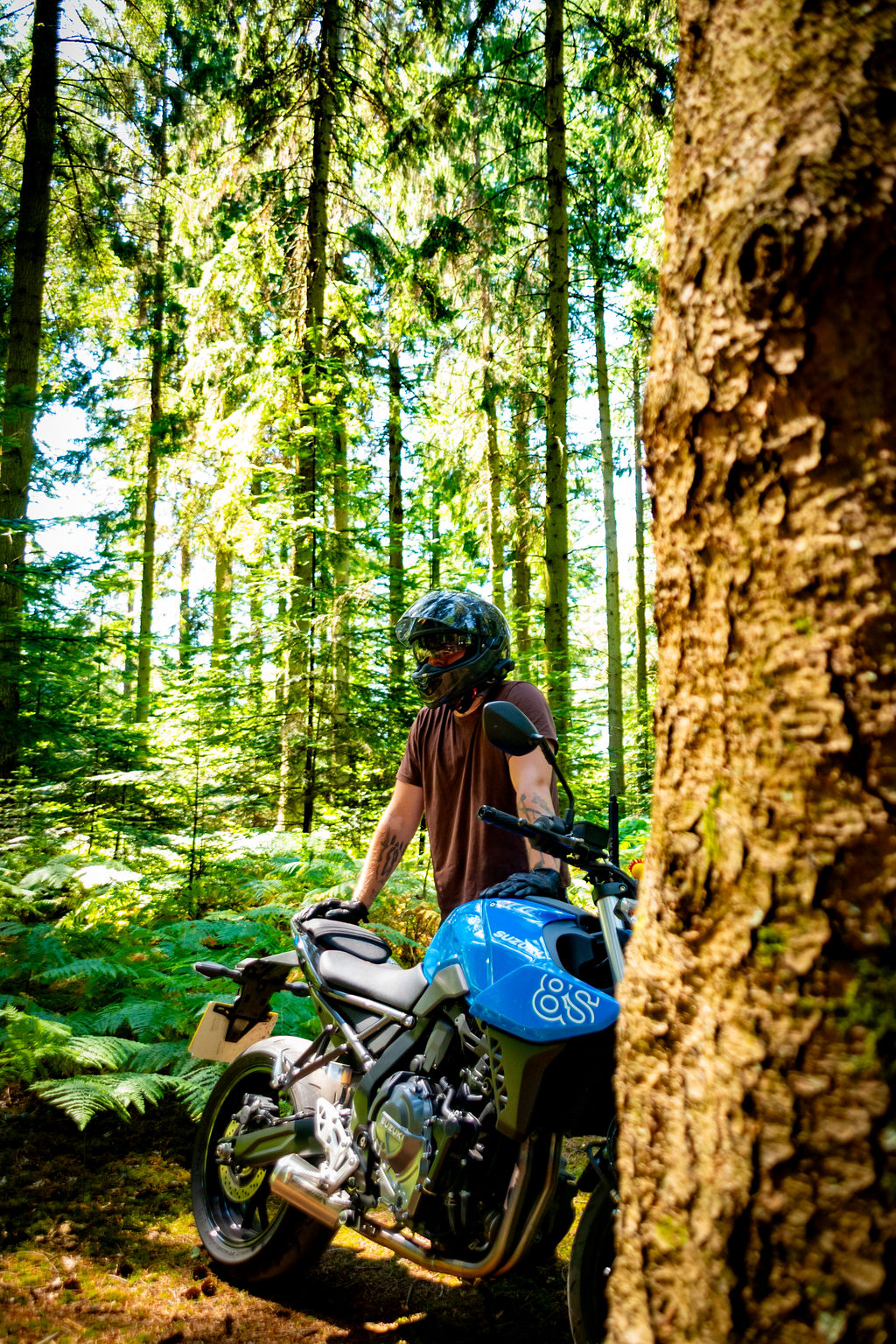 _DSC8919.jpg