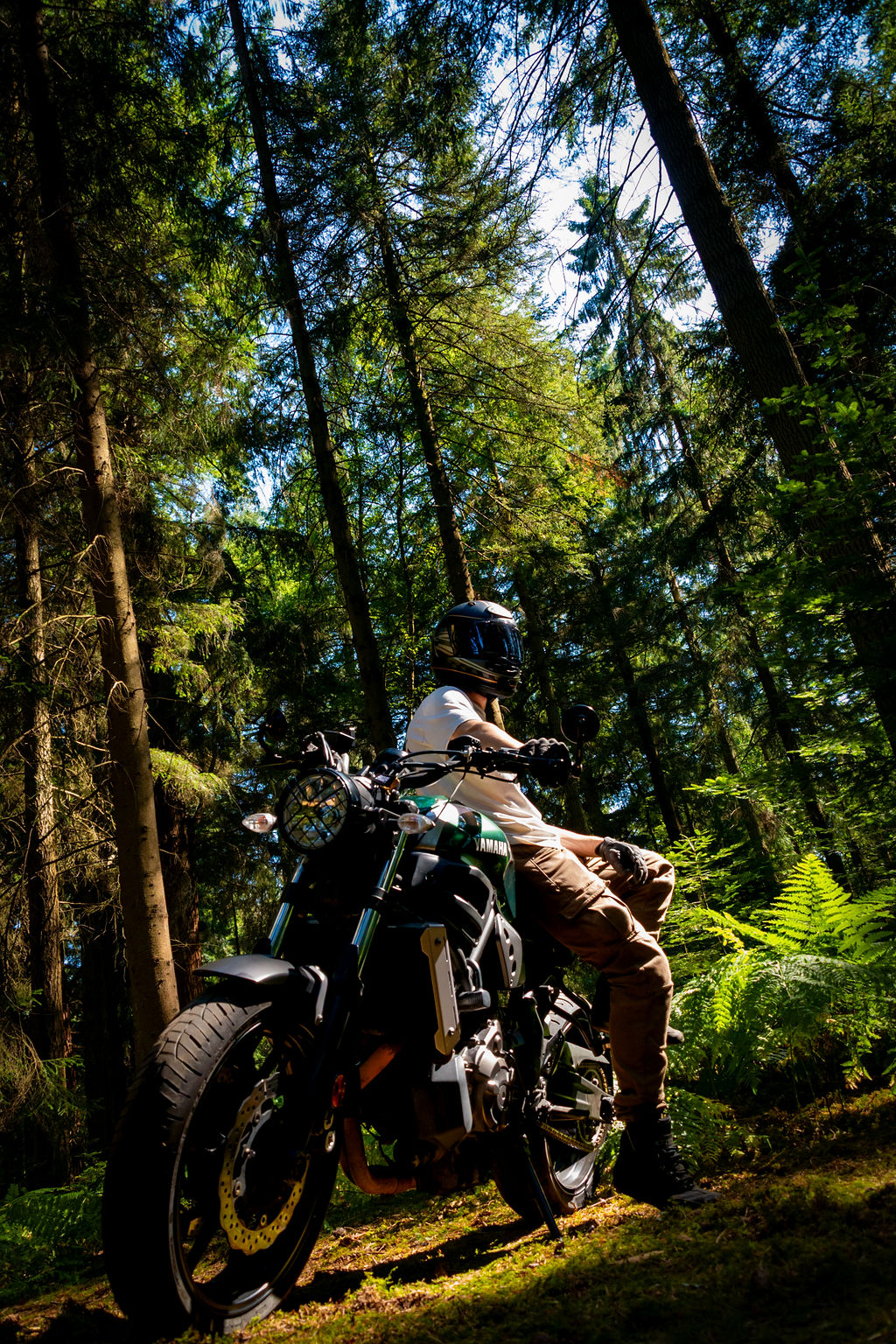 _DSC9138.jpg
