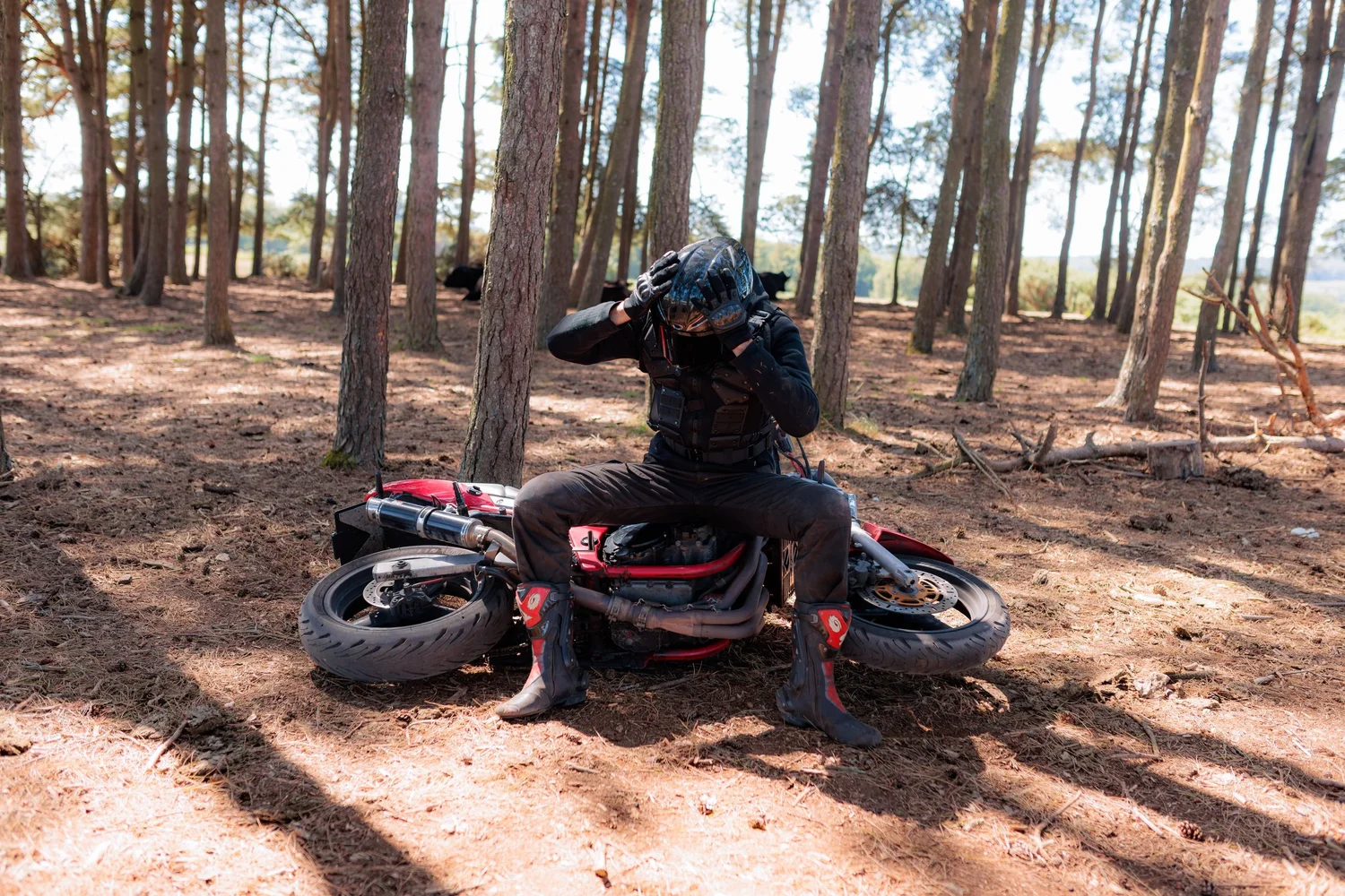 _MG_0045-3.webp